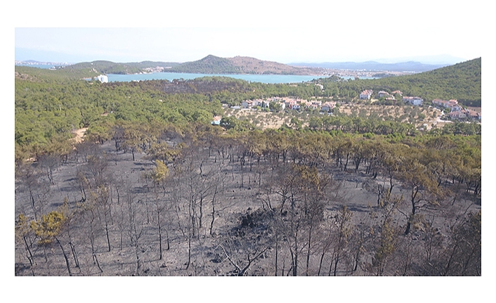 Ayvalık’ta yangında zarar gören bölge havadan görüntülendi