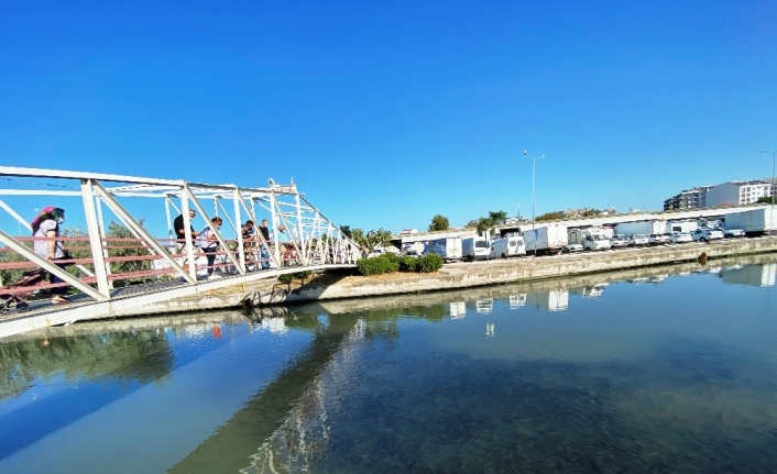 Çanakkale’den binlerce kefal sürüsü merak uyandırdı