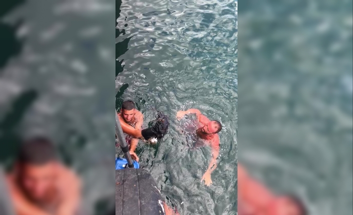 Denize düşen kediyi cankurtaran çıkardı