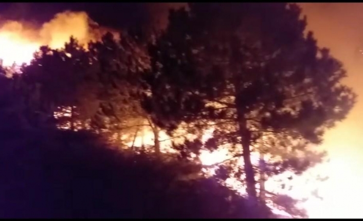 İzmir’de ormanlık alanda çıkan yangın kontrol altında