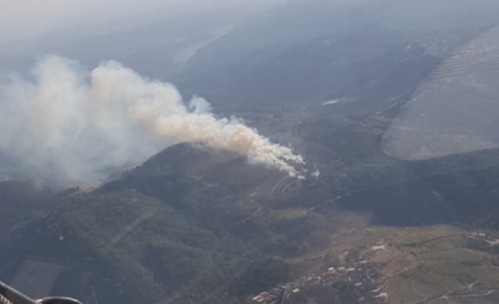 İzmir’deki orman yangını kontrol altına alındı