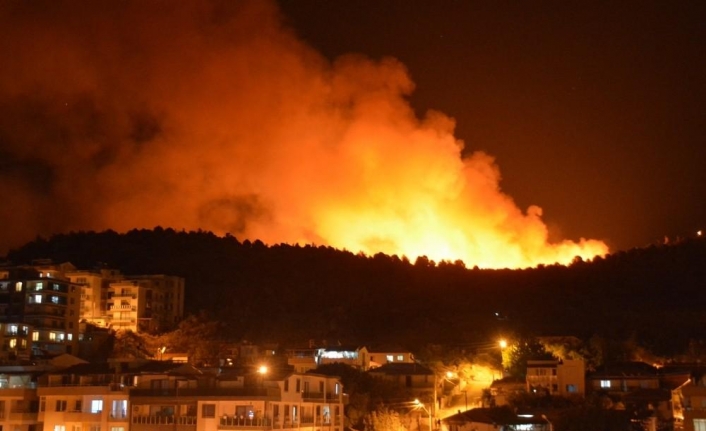 İzmir’deki otluk yangını ile ilgili bir gözaltı