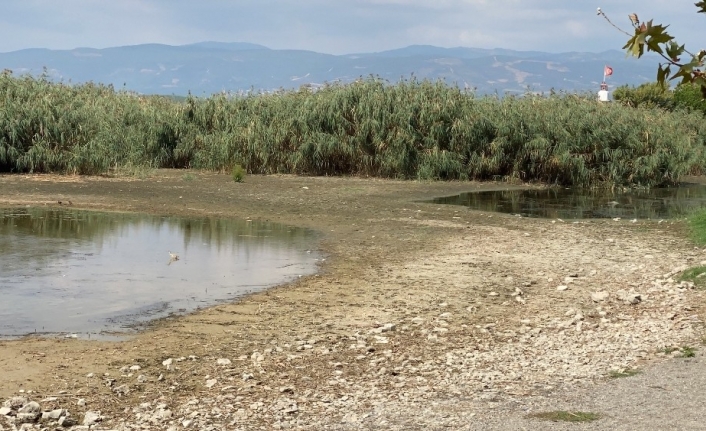 İznik Gölündeki kuraklık korkutuyor