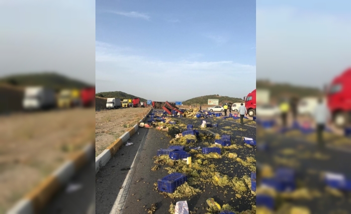 Tırın dorsesi devrildi, yol üzüm tarlasına döndü