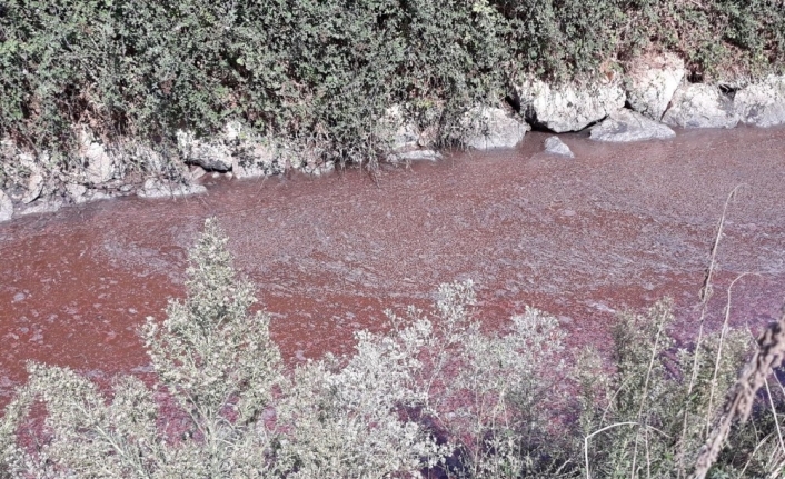 Bursa Kocasu deresinde çevre felâketi