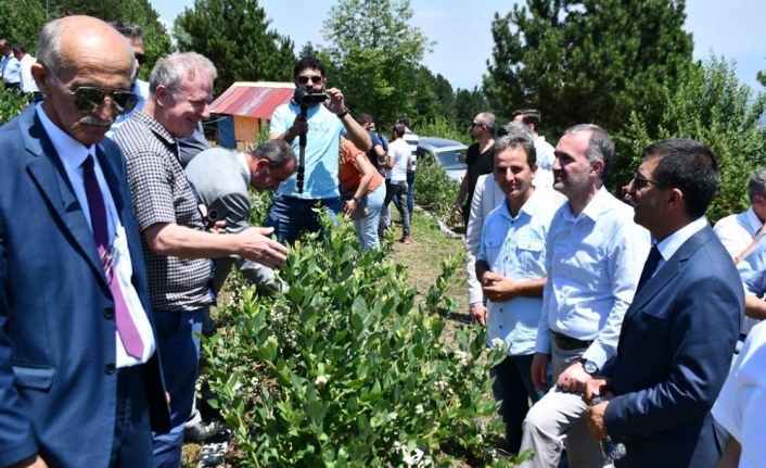 İnegöl tarımı şahlanıyor