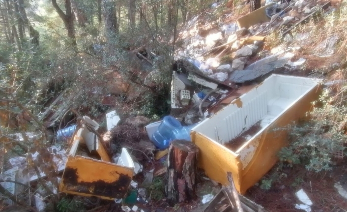 Bursa’da bir çevre katliamı daha