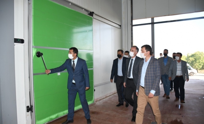 Soğuk hava deposu hizmet vermeye başladı