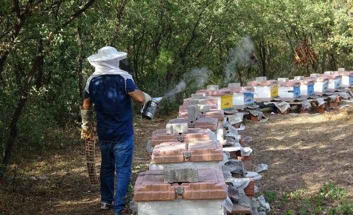 Üniversitede üretilen propolisin litresi 2 bin 500 lira ama talebe yetişemiyor