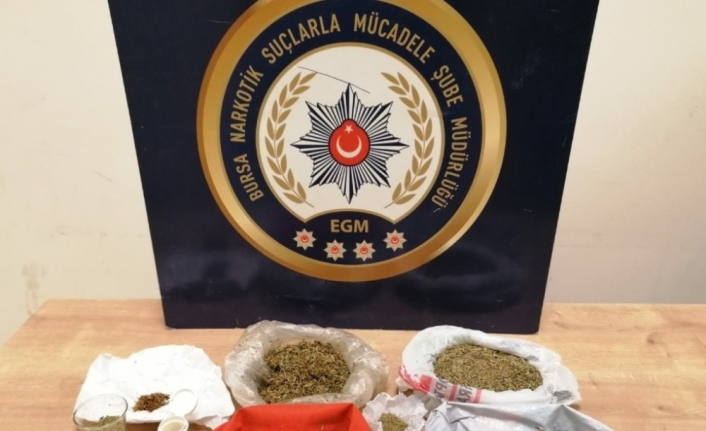 Bursa’da uyuşturucu operasyonu: 5 tutuklama