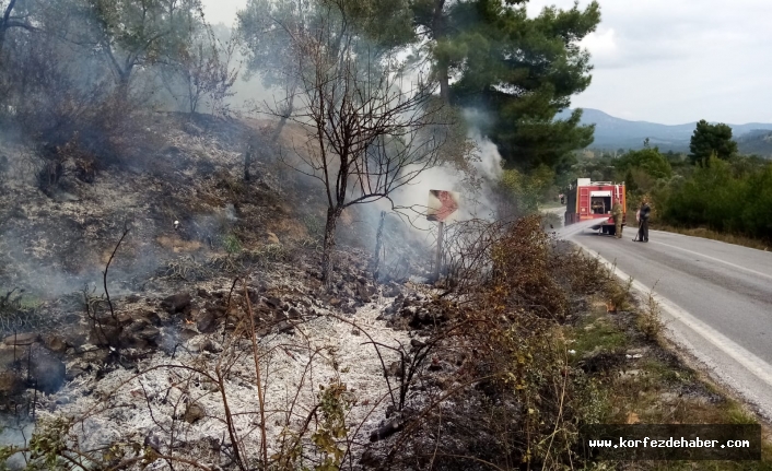 Çamcı'da korkutan yangın