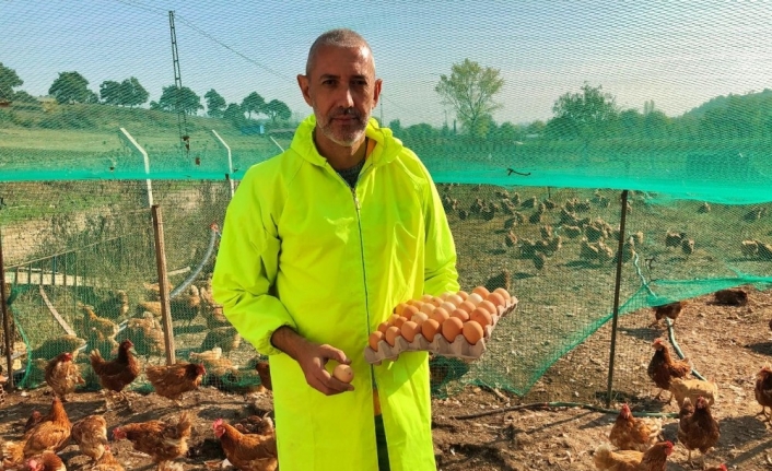 Gezen tavuk yumurtalarına ilgi büyük