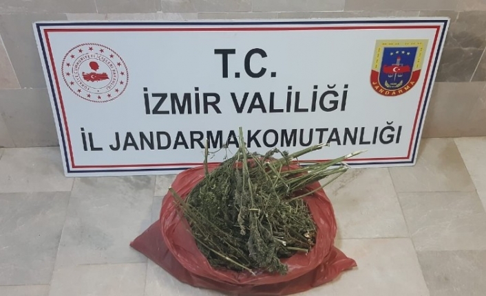 İzmir’de uyuşturucu operasyonu: 2 gözaltı
