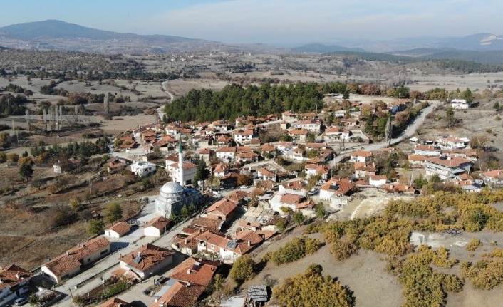 Köyün yarısı koronaya yakalandı, kimse vefat etmedi