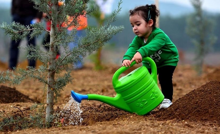 Minik Aylis fidanlarla birlikte büyüyor