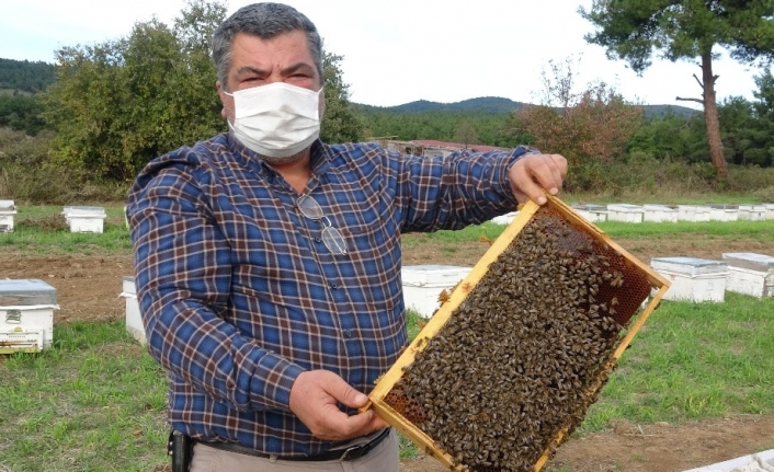 (Özel) Hobi amaçlı başladığı arıcılıkla korona virüse savaş açtı