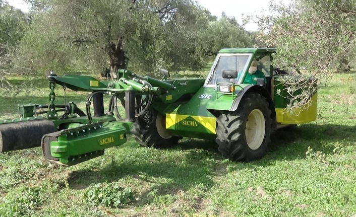 Zeytinde makineleşme yok yılını ortadan kaldırıyor