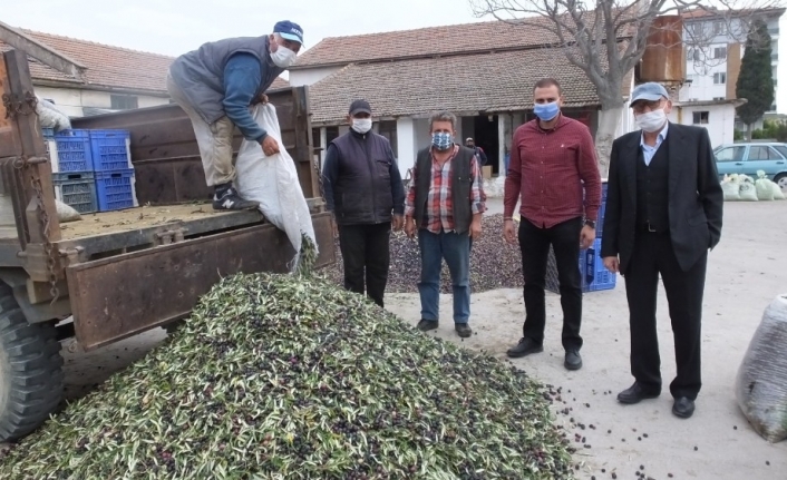 Tağşişin önlenmesine dair kanun zeytincileri sevindirdi