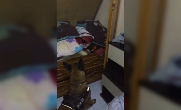 Uyuşturucu tacirleri Cash’ten kaçamadı