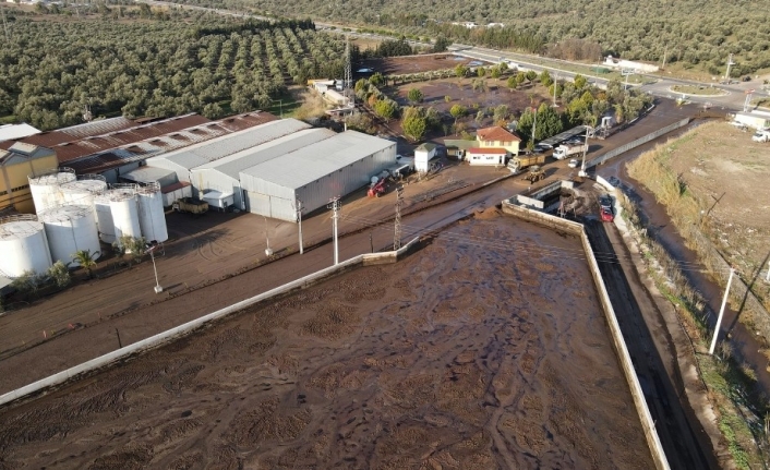 Ayvalık Belediyesi’nden çevre felaketine suç duyurusu