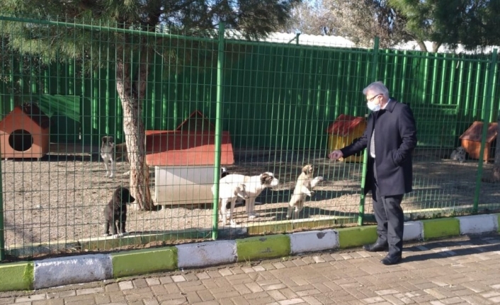 Başkan Deveciler yeni hayvan bakımevini denetledi