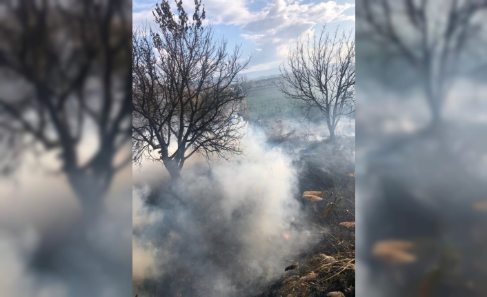 Burhaniye’de arazi yangınını itfaiye söndürdü