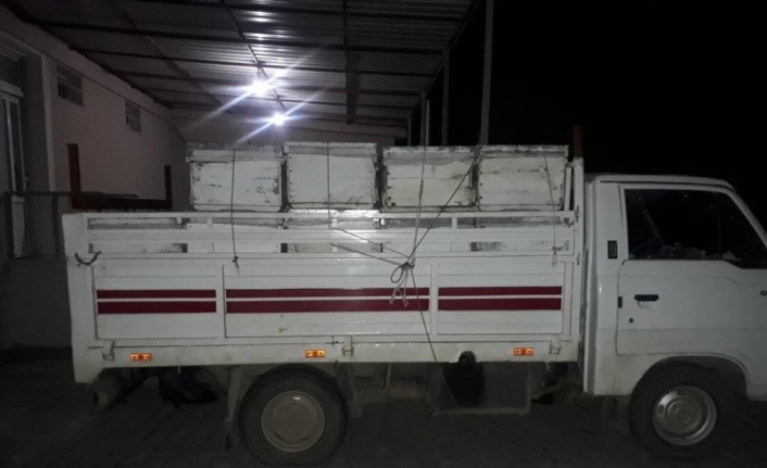 Burhaniye’de arı hırsızı jandarmadan kaçamadı
