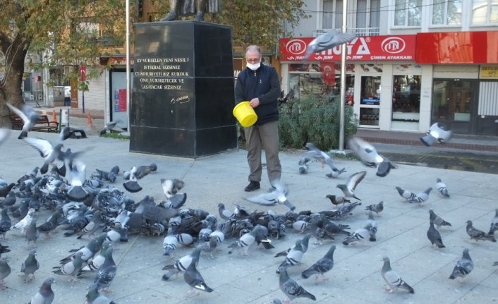 Burhaniye’de güvercinleri imece ile besliyorlar