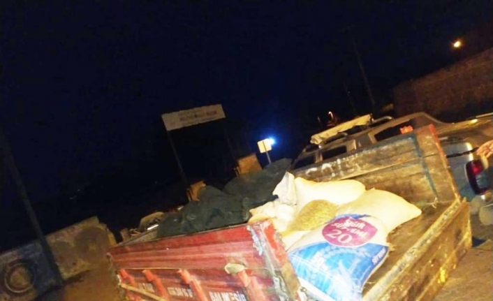Burhaniye’de jandarma zeytin hırsızlarına göz açtırmıyor