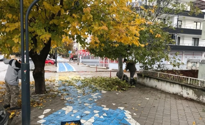 Burhaniye’de kış hazırlığı başladı