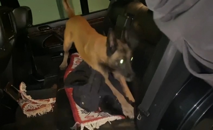 Bursa’da narkotik köpeği Galya 900 gram metamfetamin buldu