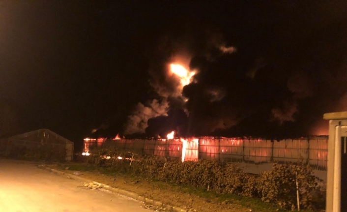 Bursa’da strafor fabrikası alev alev yandı