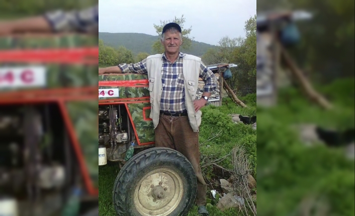 Bursa’da yaralı yaban domuzu köylüye saldırdı