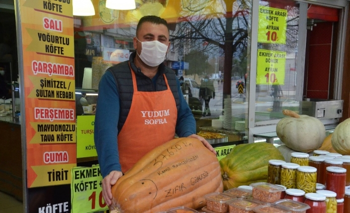 Dev kabaklar ilgi odağı oldu