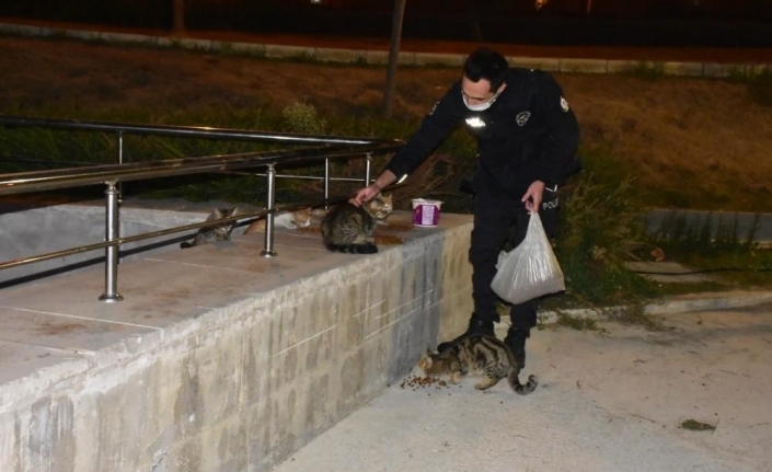 İzmir polisinden örnek davranış: Aç kalan hayvanları elleriyle besledi
