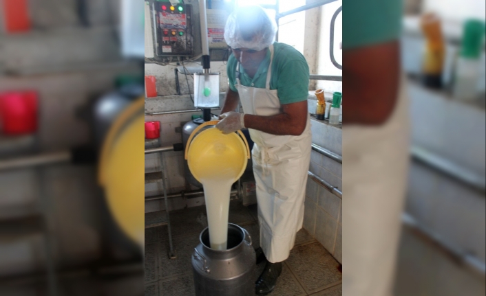 Üretici açıklanan çiğ süt fiyatlarını olumlu karşıladı