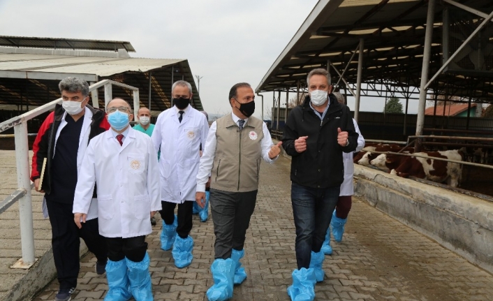 Yenişehirli firmaya hastalıklardan ârî işletme belgesi