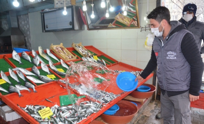 Aşırı avlanma hamsi fiyatlarını etkiliyor