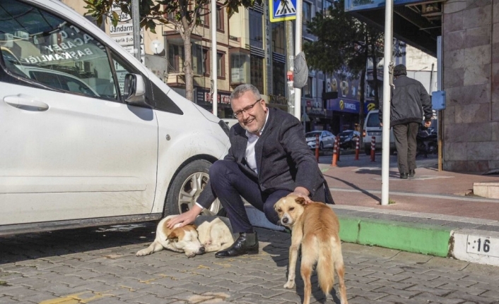 Can dostlarımız Karacabey’de güvence altında