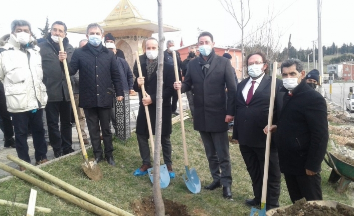 Çevreci Muhtar’dan ağaç dikim etkinliği