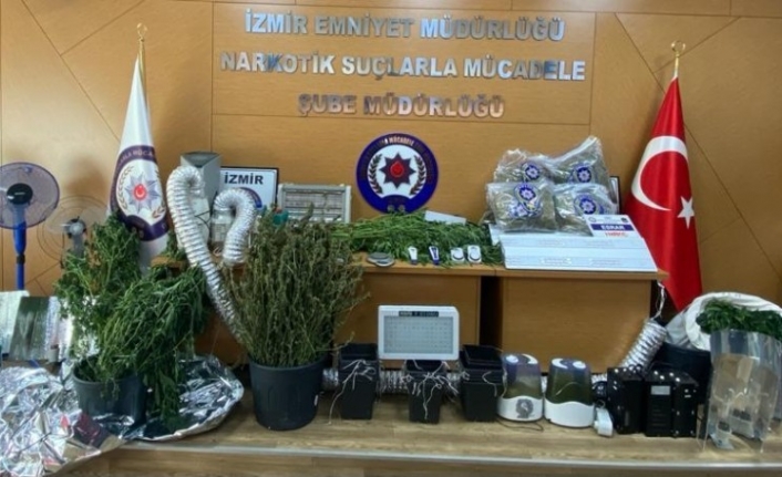 İzmir’de kenevir operasyonu: 10 gözaltı