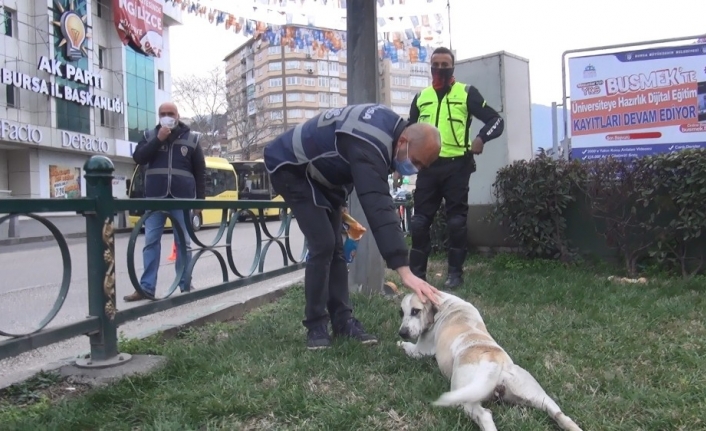 Polisin şefkatli elleri