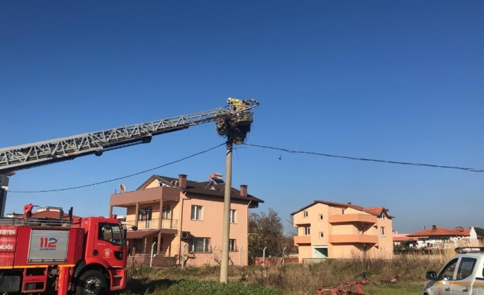 Ayvalık’ta göçmen kuşlara itfaiye ve Milli Parklar şefkati