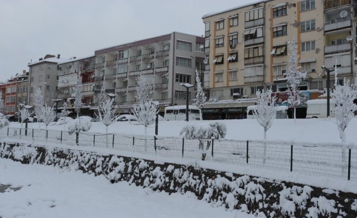 Balıkesir merkezi kara uyandı