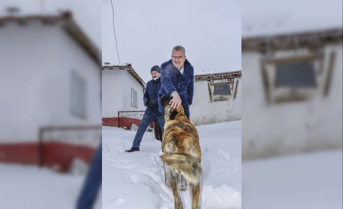 Başkan Özkan’ın hayvan sevgisi