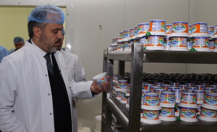 BESAŞ’la çiftçiye destek, sofralara lezzet