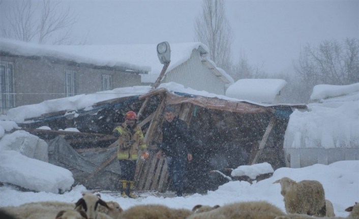 Bursa’da ahır göçtü, 150 koyun ve kuzu göçük altında kaldı