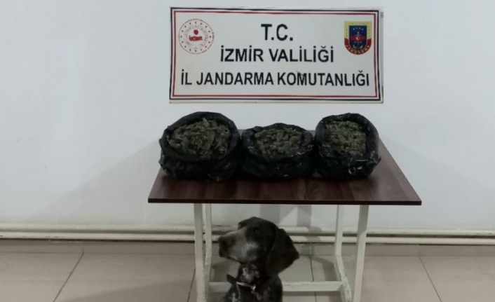 İzmir’in 3 ilçesinde jandarmadan uyuşturucu baskınları