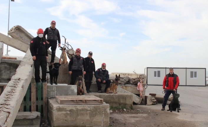 İzmir’in cesur köpekleri