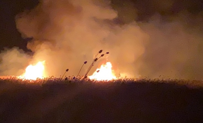 İznik’te sazlıklarda ikinci yangın
